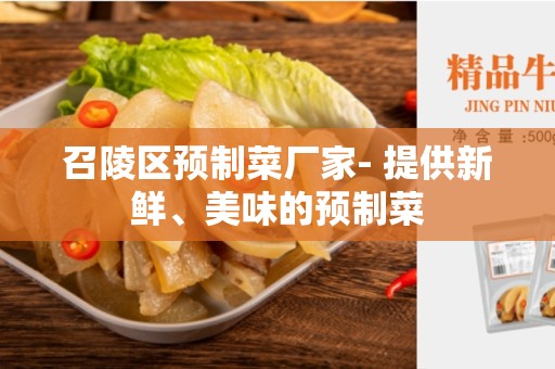 召陵区预制菜厂家- 提供新鲜、美味的预制菜