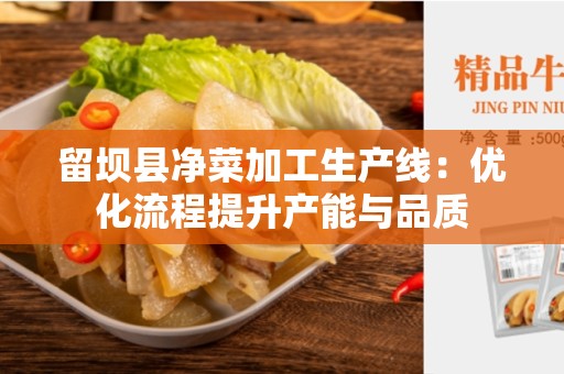 留坝县净菜加工生产线：优化流程提升产能与品质