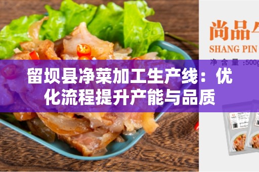 留坝县净菜加工生产线：优化流程提升产能与品质