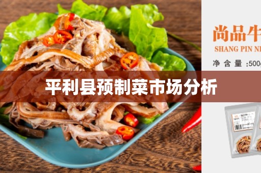 平利县预制菜市场分析