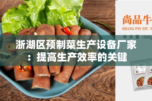 浙湖区预制菜生产设备厂家：提高生产效率的关键