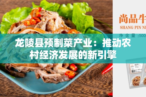 龙陵县预制菜产业：推动农村经济发展的新引擎