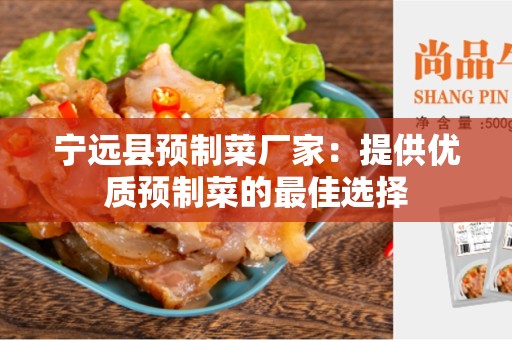 宁远县预制菜厂家：提供优质预制菜的最佳选择