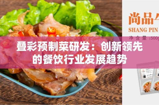 叠彩预制菜研发：创新领先的餐饮行业发展趋势