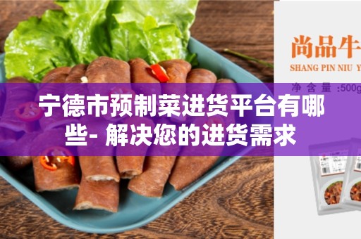宁德市预制菜进货平台有哪些- 解决您的进货需求