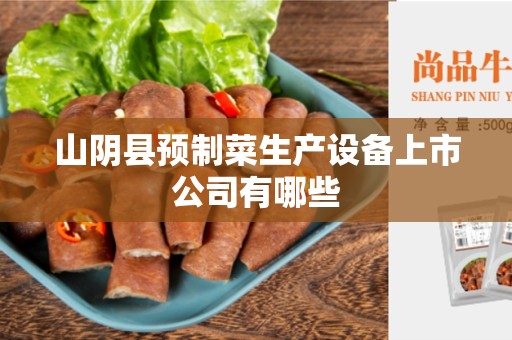 山阴县预制菜生产设备上市公司有哪些