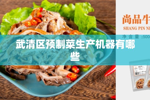 武清区预制菜生产机器有哪些
