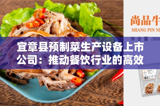 宜章县预制菜生产设备上市公司：推动餐饮行业的高效生产工艺革命