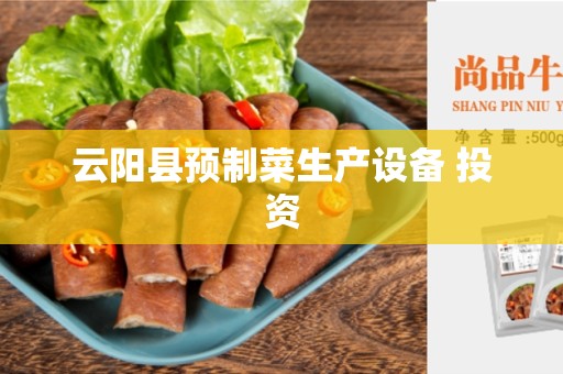 云阳县预制菜生产设备 投资
