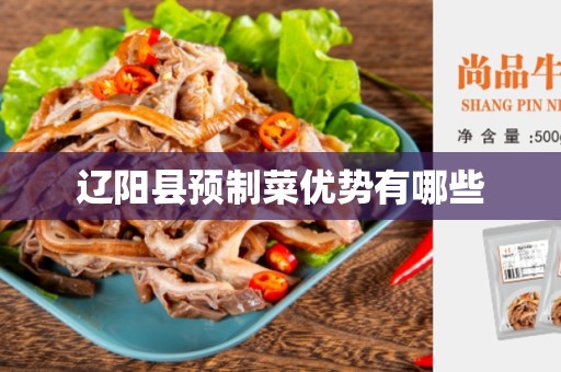 辽阳县预制菜优势有哪些