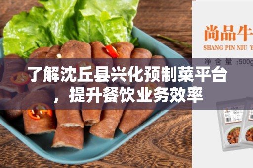 了解沈丘县兴化预制菜平台，提升餐饮业务效率
