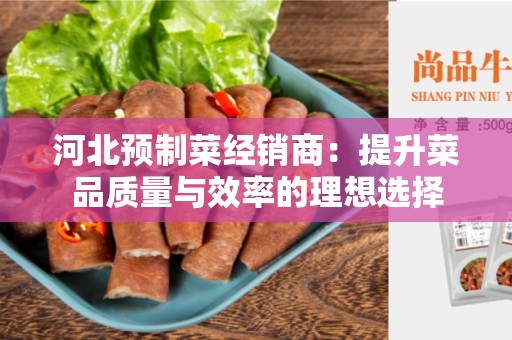 河北预制菜经销商：提升菜品质量与效率的理想选择