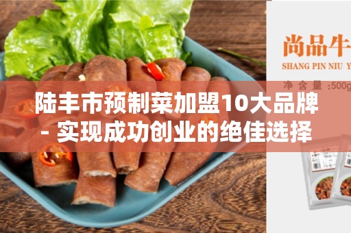 陆丰市预制菜加盟10大品牌- 实现成功创业的绝佳选择