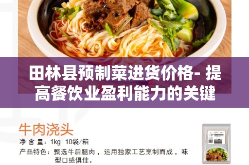 田林县预制菜进货价格- 提高餐饮业盈利能力的关键