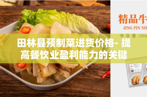 田林县预制菜进货价格- 提高餐饮业盈利能力的关键