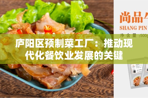 庐阳区预制菜工厂：推动现代化餐饮业发展的关键