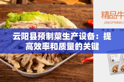 云阳县预制菜生产设备：提高效率和质量的关键