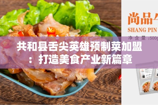 共和县舌尖英雄预制菜加盟：打造美食产业新篇章