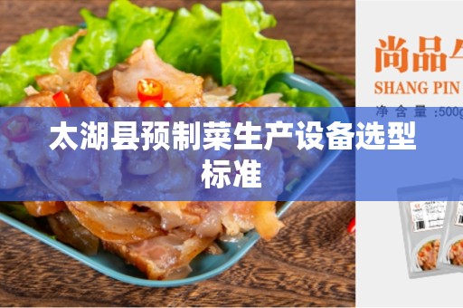 太湖县预制菜生产设备选型标准