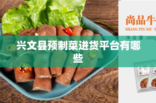 兴文县预制菜进货平台有哪些