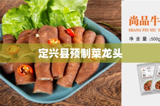 定兴县预制菜龙头
