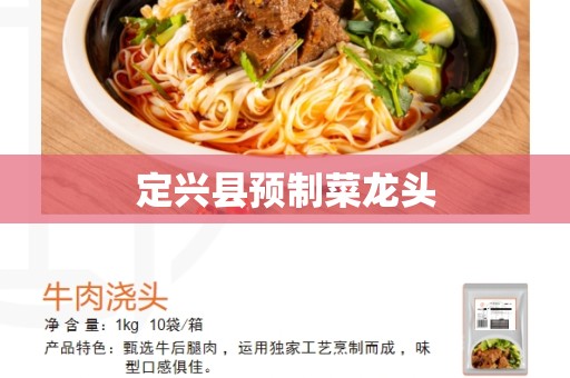 定兴县预制菜龙头