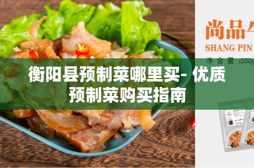 衡阳县预制菜哪里买- 优质预制菜购买指南