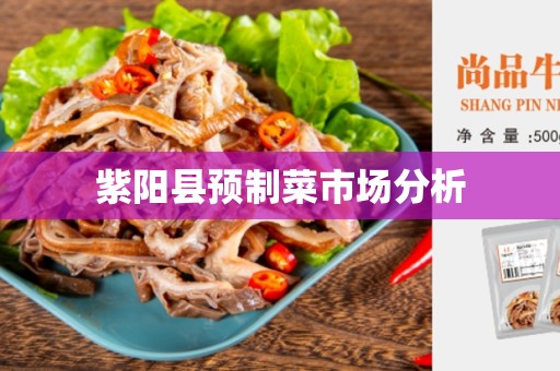紫阳县预制菜市场分析