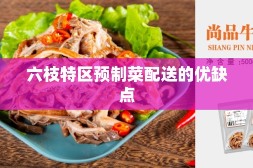 六枝特区预制菜配送的优缺点