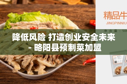 降低风险 打造创业安全未来 - 略阳县预制菜加盟