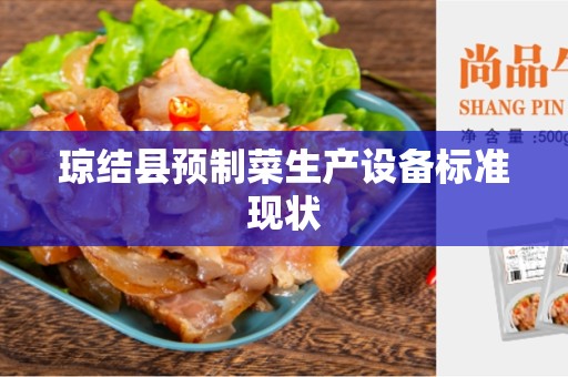 琼结县预制菜生产设备标准现状