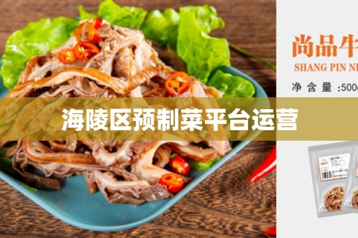 海陵区预制菜平台运营