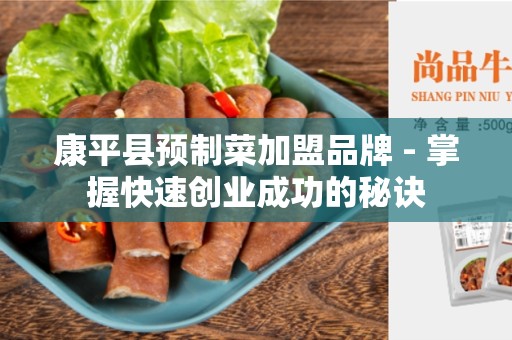康平县预制菜加盟品牌 - 掌握快速创业成功的秘诀