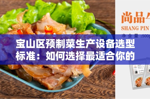 宝山区预制菜生产设备选型标准：如何选择最适合你的设备？