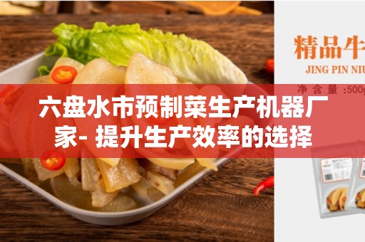 六盘水市预制菜生产机器厂家- 提升生产效率的选择