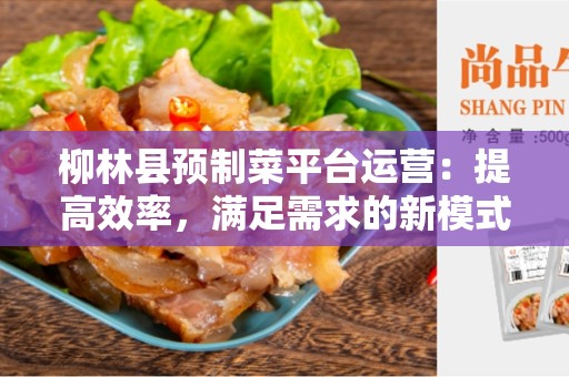 柳林县预制菜平台运营：提高效率，满足需求的新模式