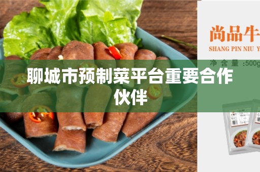 聊城市预制菜平台重要合作伙伴