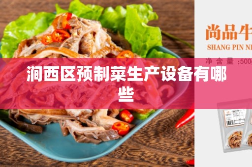 涧西区预制菜生产设备有哪些
