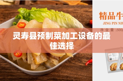 灵寿县预制菜加工设备的最佳选择