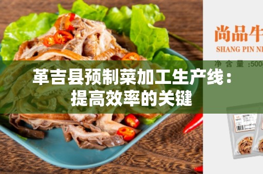 革吉县预制菜加工生产线：提高效率的关键