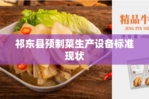 祁东县预制菜生产设备标准现状