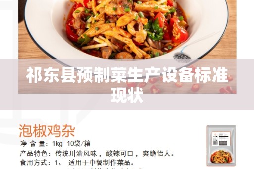 祁东县预制菜生产设备标准现状