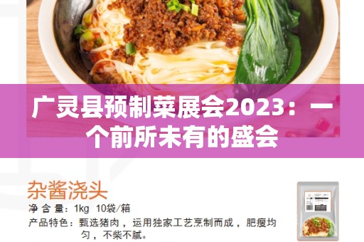 广灵县预制菜展会2023：一个前所未有的盛会