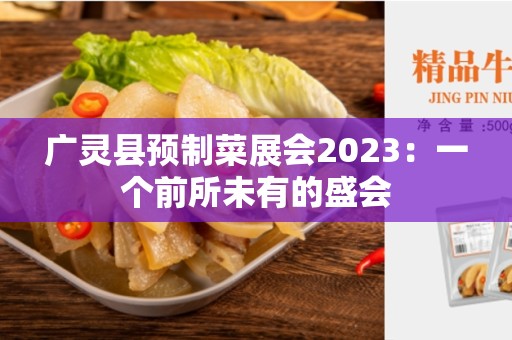 广灵县预制菜展会2023：一个前所未有的盛会