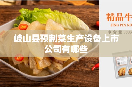 岐山县预制菜生产设备上市公司有哪些