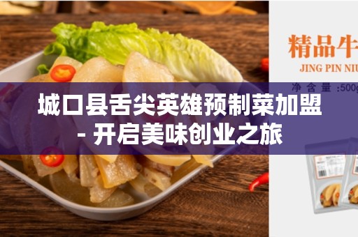 城口县舌尖英雄预制菜加盟- 开启美味创业之旅