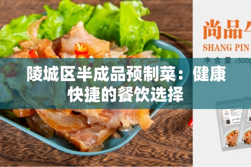 陵城区半成品预制菜：健康快捷的餐饮选择