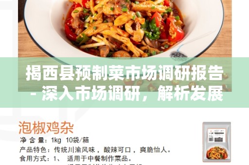 揭西县预制菜市场调研报告 - 深入市场调研，解析发展趋势