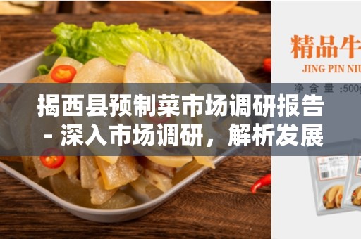 揭西县预制菜市场调研报告 - 深入市场调研，解析发展趋势