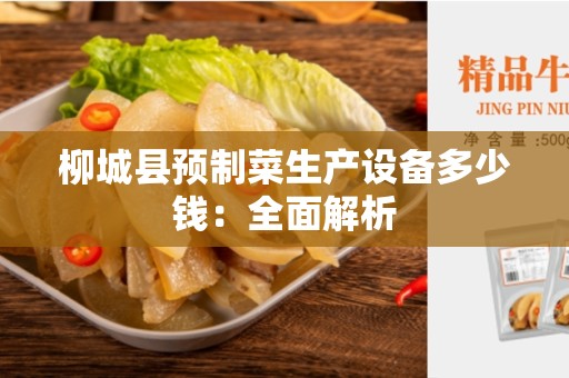 柳城县预制菜生产设备多少钱：全面解析